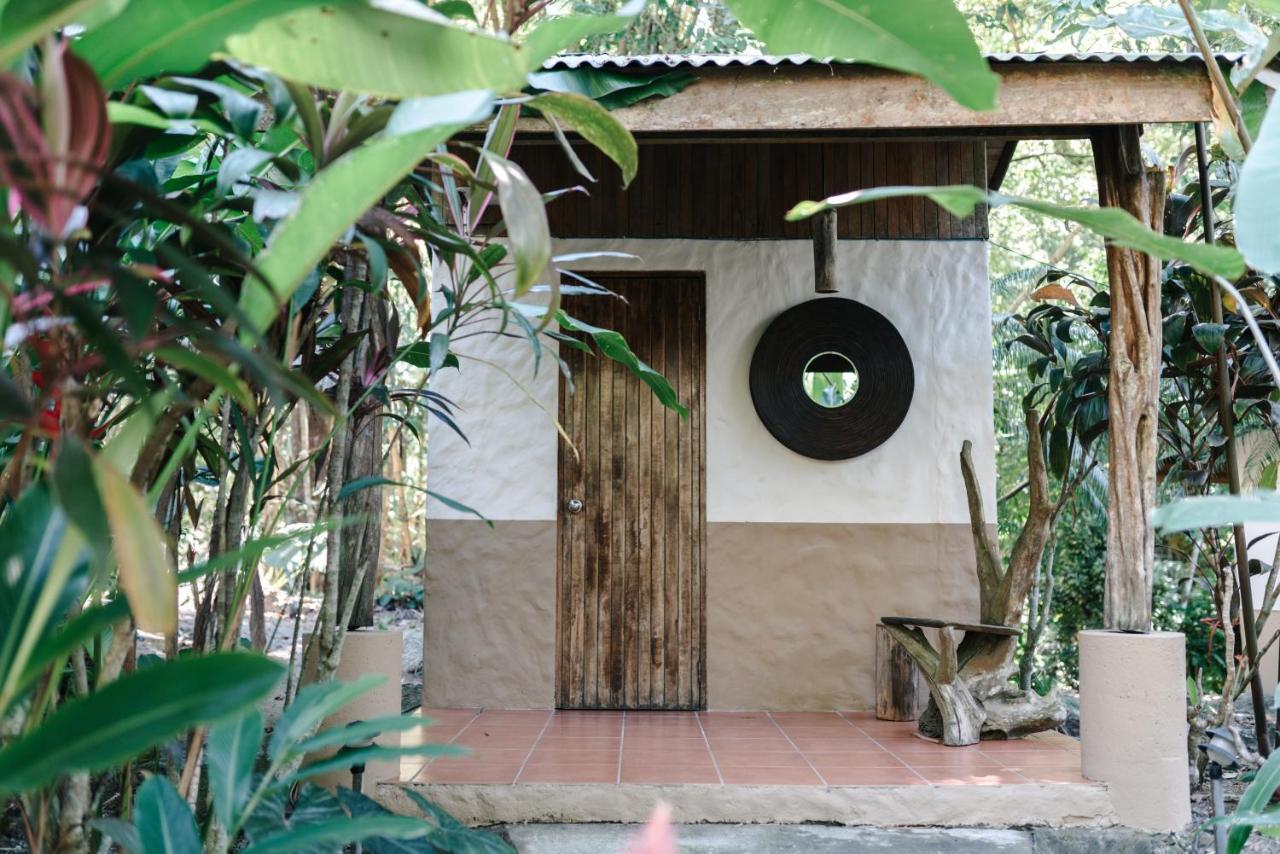 Star Mountain Jungle Lodge & Horse Ranch Malpais Exterior photo