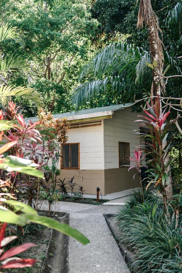 Star Mountain Jungle Lodge & Horse Ranch Malpais Exterior photo